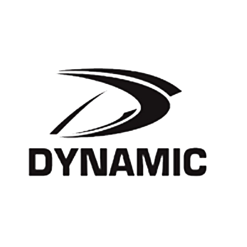 Dynamic Sports logo
